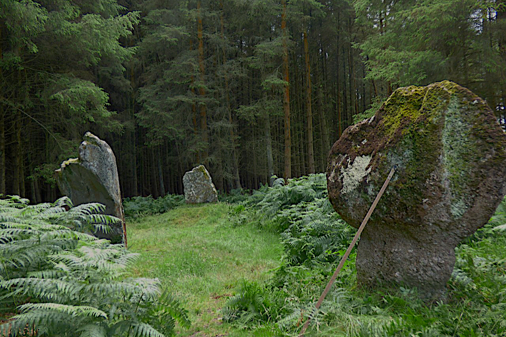 Standing Stones - Kingarth, Isle of Bute, Scotland
